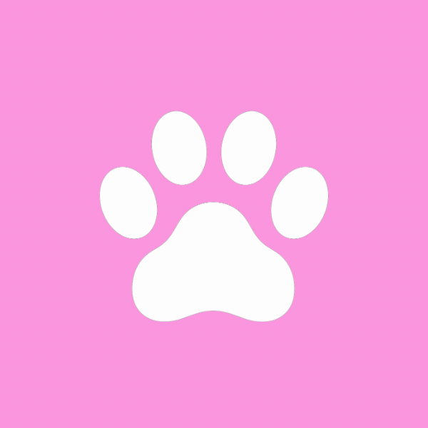 Animales de Compañía